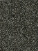 Galaxy Hunter  Tempo Fabrics Galaxy Hunter  Tempo Fabrics