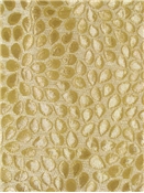 Mosaic Petal Maize