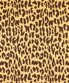 Phango 11317 M9343 Leopard