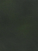 Derma Emerald Perfomance Faux Leather Europatex