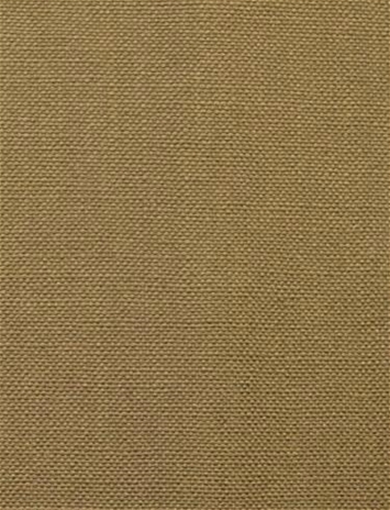 Barry Pecan - Performance Canvas Barry Pecan - Performance Canvas