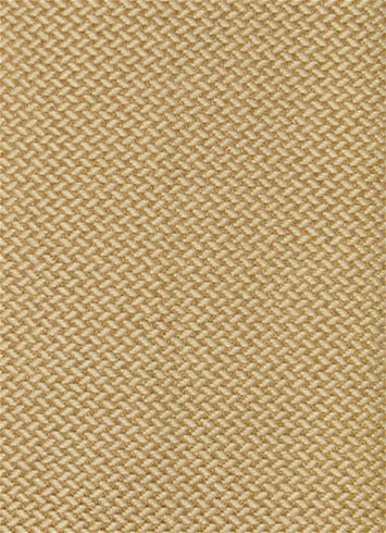 SD Bermuda 884 Sunspark SD Bermuda 884 Sunspark