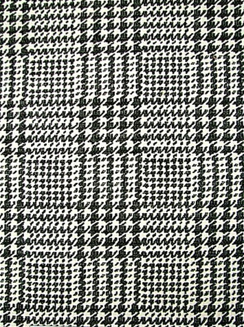 Spencer 916 Ebony Ivory Covington Fabric